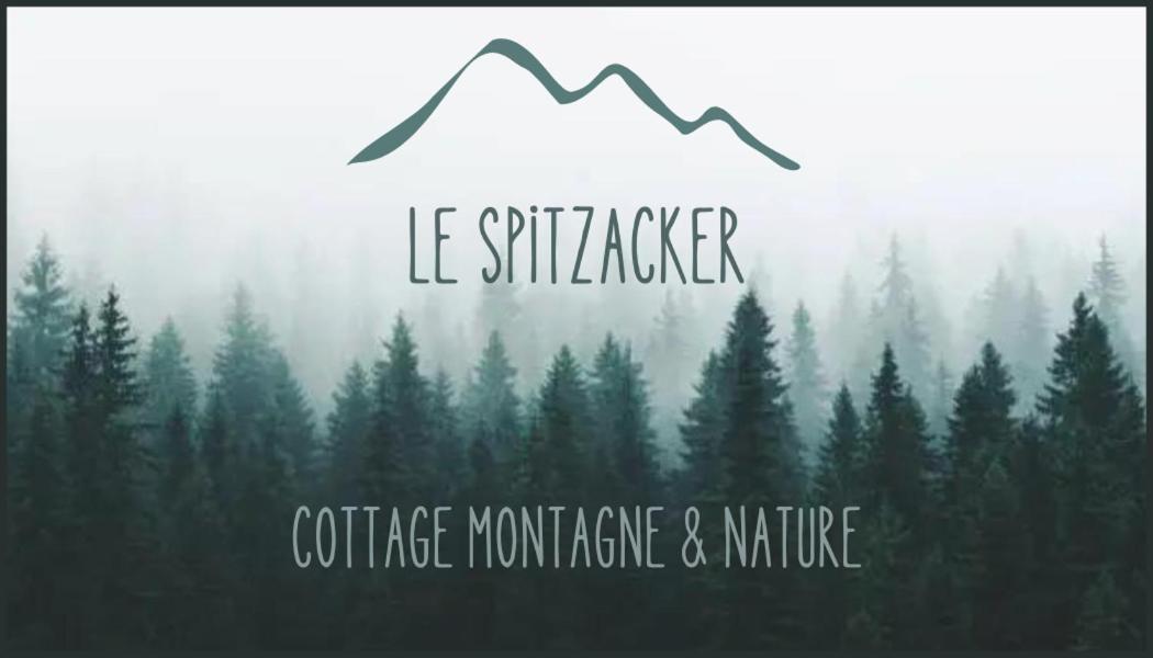 Le Spitzacker Gite Familial Au Calme Husseren-Wesserling Zewnętrze zdjęcie